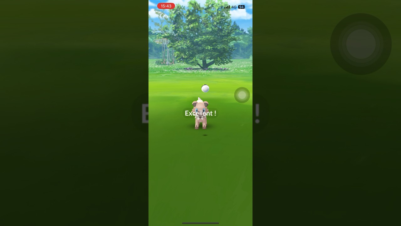 たそがれイワンコ エクセレントスロー #shorts