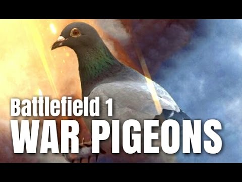 初めてのウォー・ピジョンやるよ！BF1