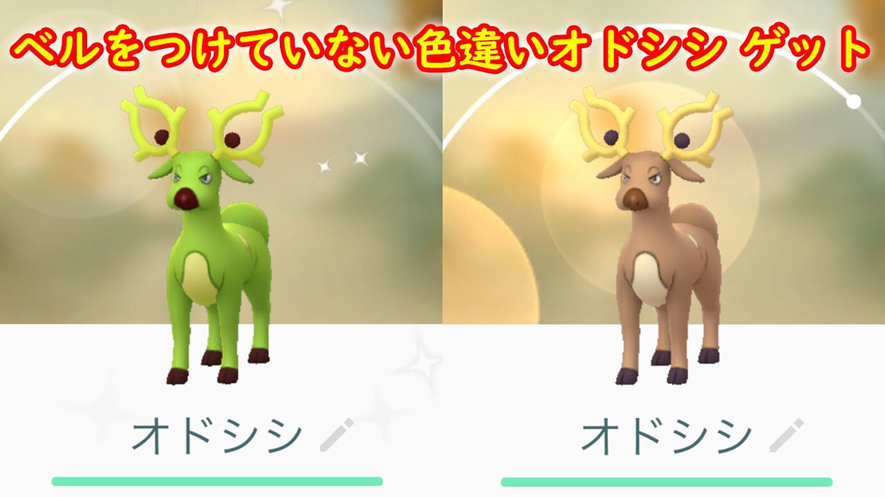 【激レア】ベルをつけていない 色違いオドシシ ゲットしました【ポケモンGO】