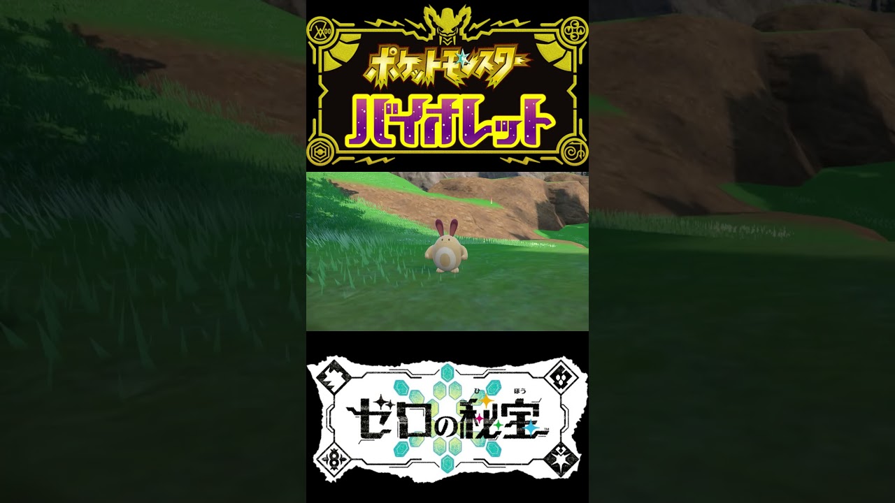 【ポケモンSV】ラブボ入り色違いオタチ/オオタチ #short