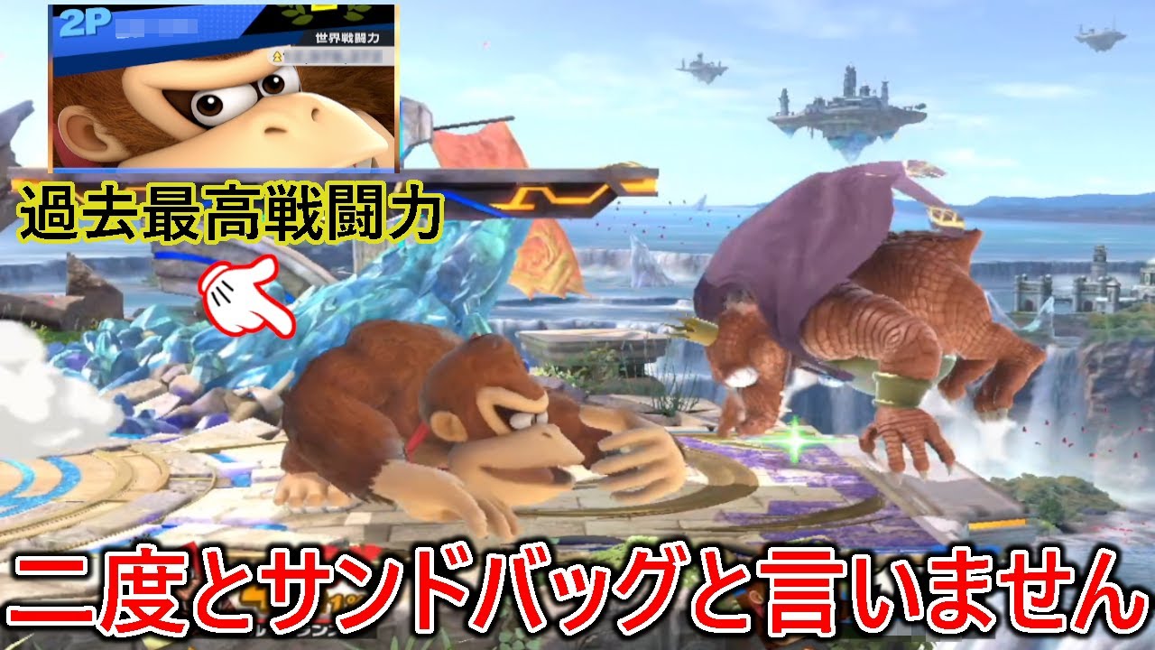 過去最高戦闘力のドンキーにサンドバッグにされました