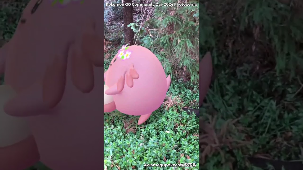 ピンプク｜Happiny｜ラッキー｜Chansey｜ハピナス｜Blissey｜花飾り｜Costume【ポケモンGO】PoKeMoN GO AR｜AR動画｜GOsnapshot #Shorts