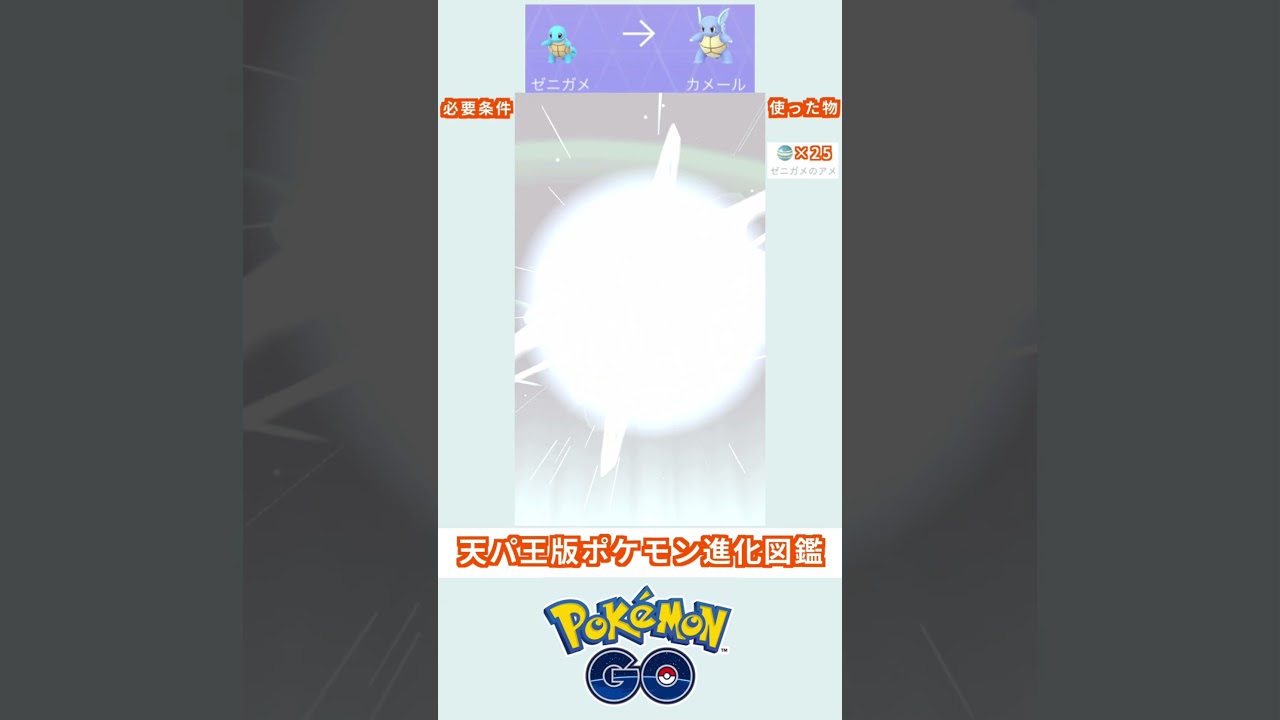 天パ王版　進化図鑑　ゼニガメ→カメール　＃ポケモン　＃ポケットモンスター　＃Pokémon ＃ポケモンGO