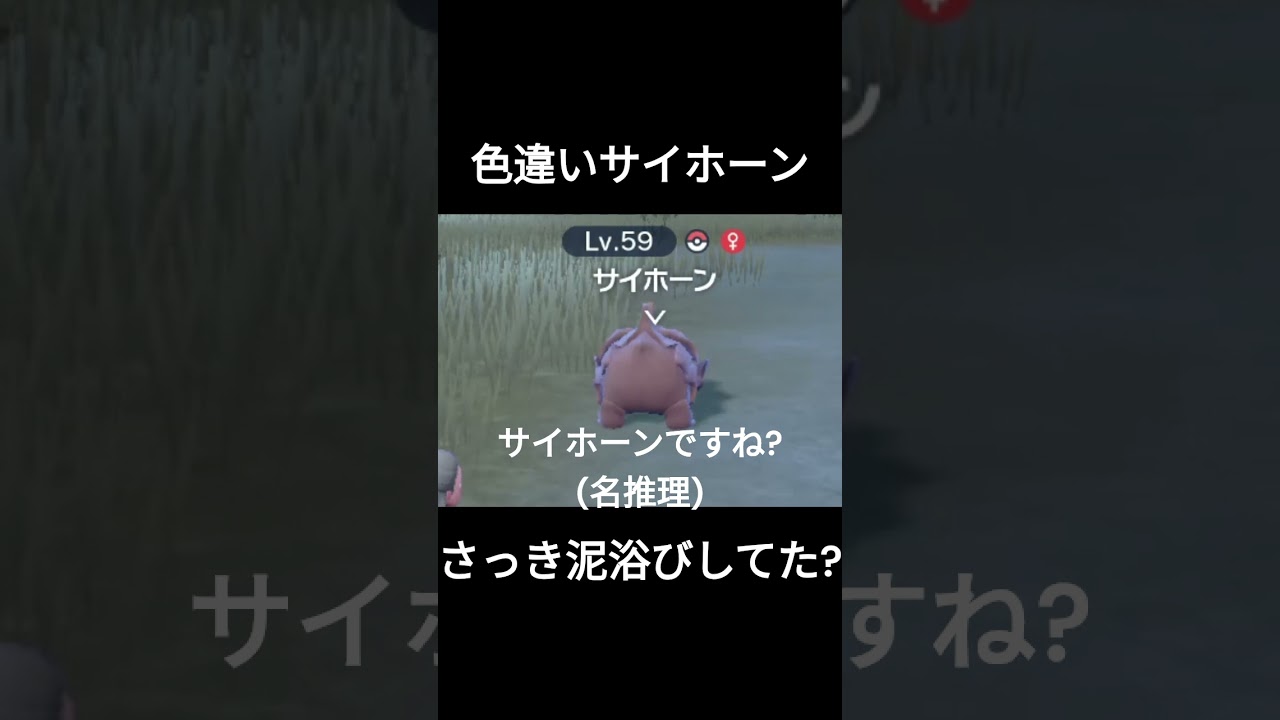 泥浴びサイホーン #ポケモンsv #色違い #サイホーン