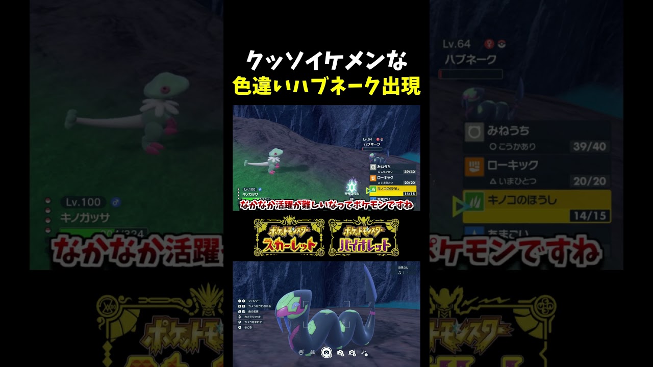 【ポケモンSV】イケメンポケモン!! 色違いハブネークに自然遭遇したけど色が良すぎるｗ【色違いポケモン】【色違い厳選】#shorts