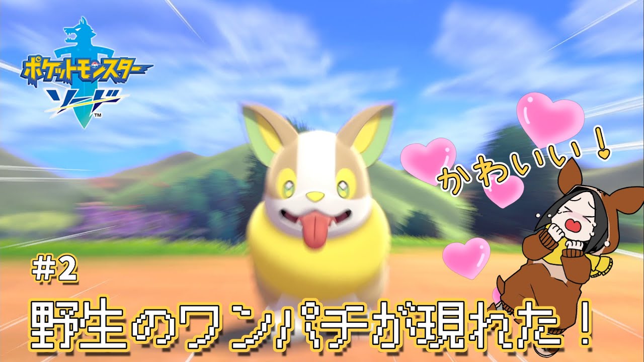 【剣盾】#2 祝！野生のワンパチが現れた！