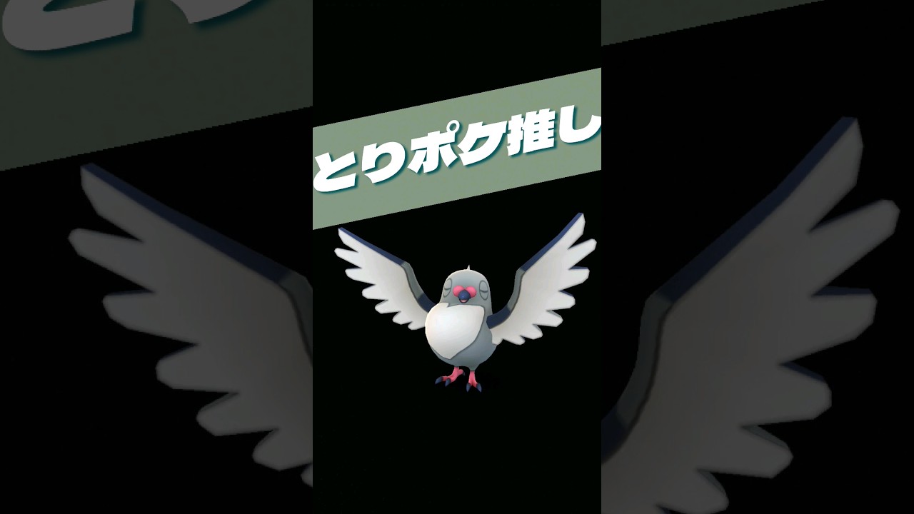 【鳥好きのPokémon GO】マメパトくん