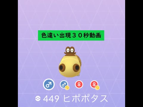 【Pokémon GO】 Rarity ”B+”＃449 ヒポポタス(♂) ☆shiny☆#Shorts