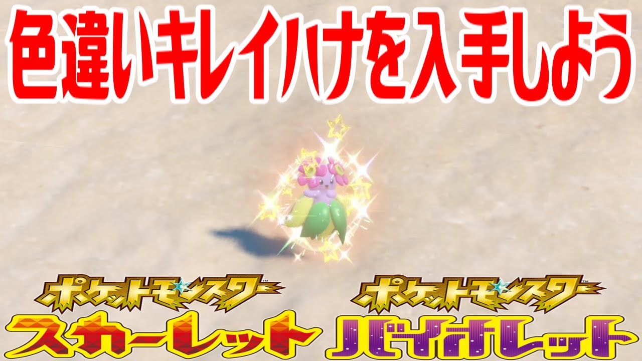 【ポケモンSV】色違いキレイハナを入手しよう【ポケットモンスター スカーレット・バイオレット ゼロの秘宝 藍の円盤】Pocket Monsters