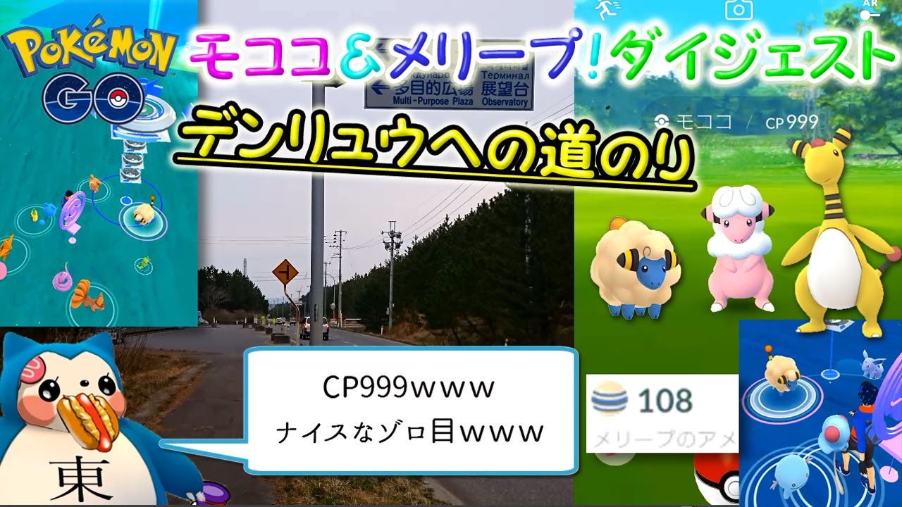 野生モココ＆メリープ捕獲映像ダイジェスト【デンリュウ進化への道のり】