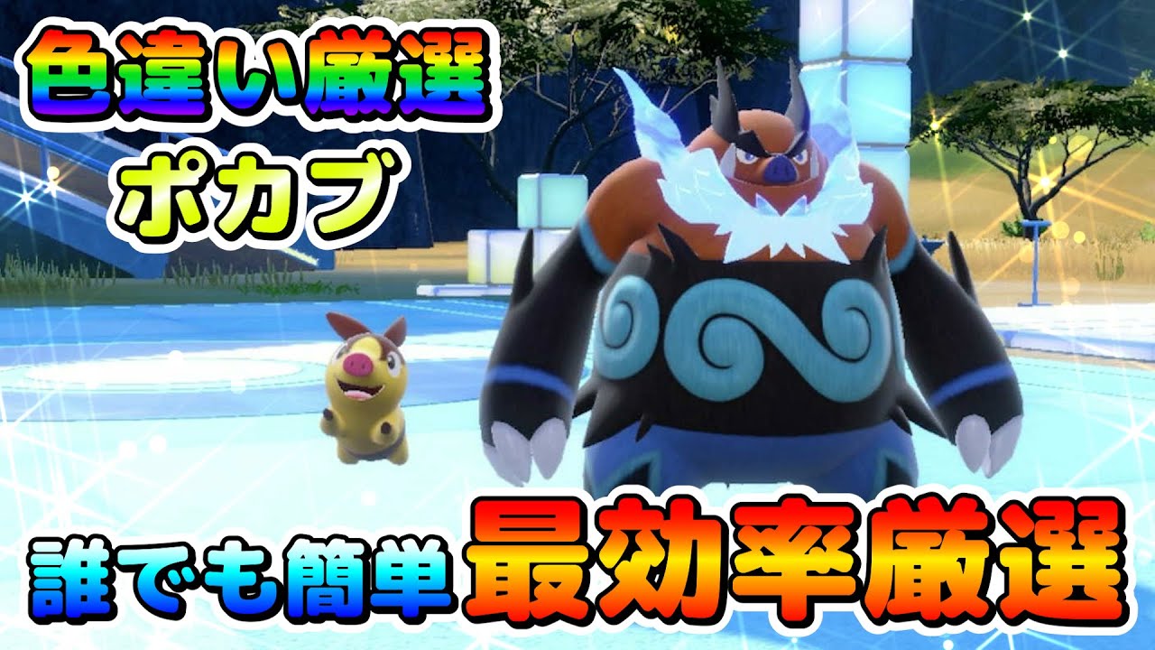 【ポケモンSV】御三家ポカブの色違い厳選オススメ場所！大量発生無しで最高効率！おまもり無しでも期待値十分！【色厳選】