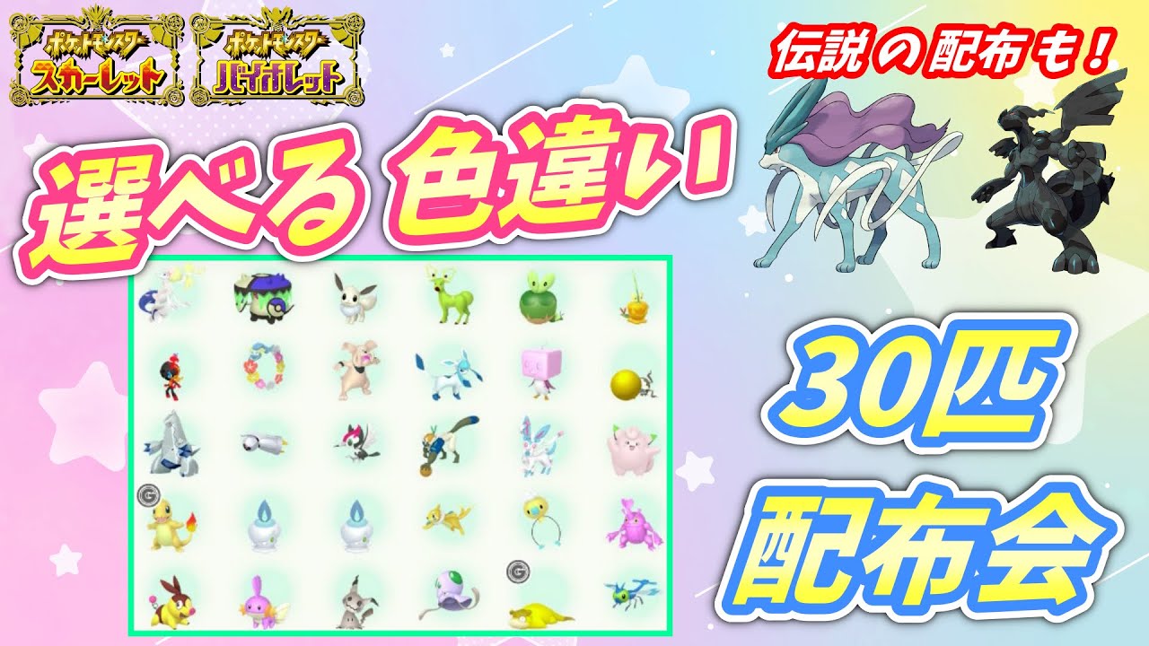リスナー産！選べる色違い30匹 配布会！スイクンとゼクロムの配布も！【ポケモンSV】