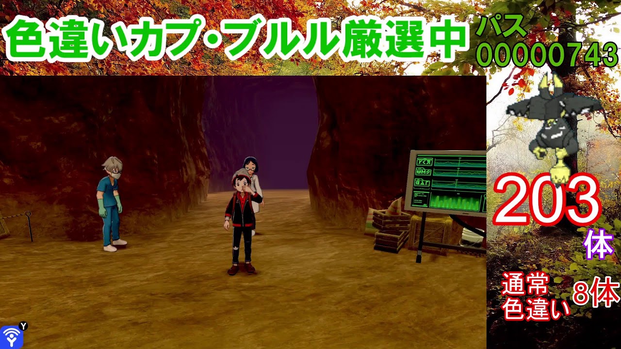 【ポケモン剣盾】200回突破。カプ・ブルル色違い以外の色違いが出たら即配布！カプ・ブルル色厳選【ダイマックスアドベンチャー】