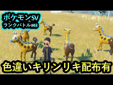 【ポケモンSV ダブル】ランクバトル #43 色違いキリンリキ配布有ランクバトル