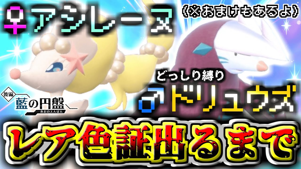 【レア色証化計画】「♀」のアシレーヌ+「♂」のドリュウズ厳選‼︎『どっしり感情』に囚われしきんかんぶー…‼︎（+ダブル証ヒポポタス）︎ 【ポケモンSV】