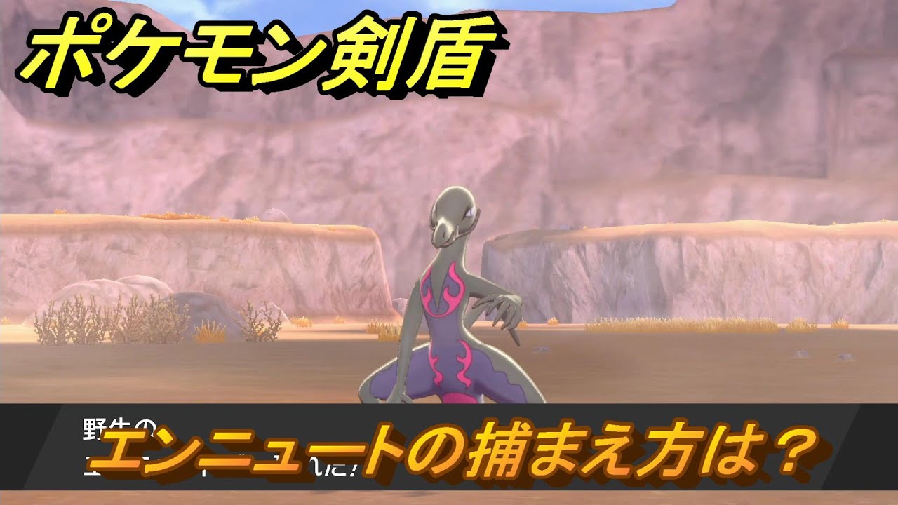 ポケモン剣盾　エンニュートを捕まえる方法！オススメの場所は？天気は？ポケモン図鑑コンプへの道！　最新版【ポケモンソード・シールド】