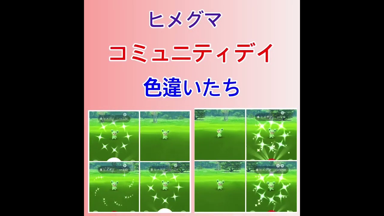 ヒメグマコミュニティデイ❗️