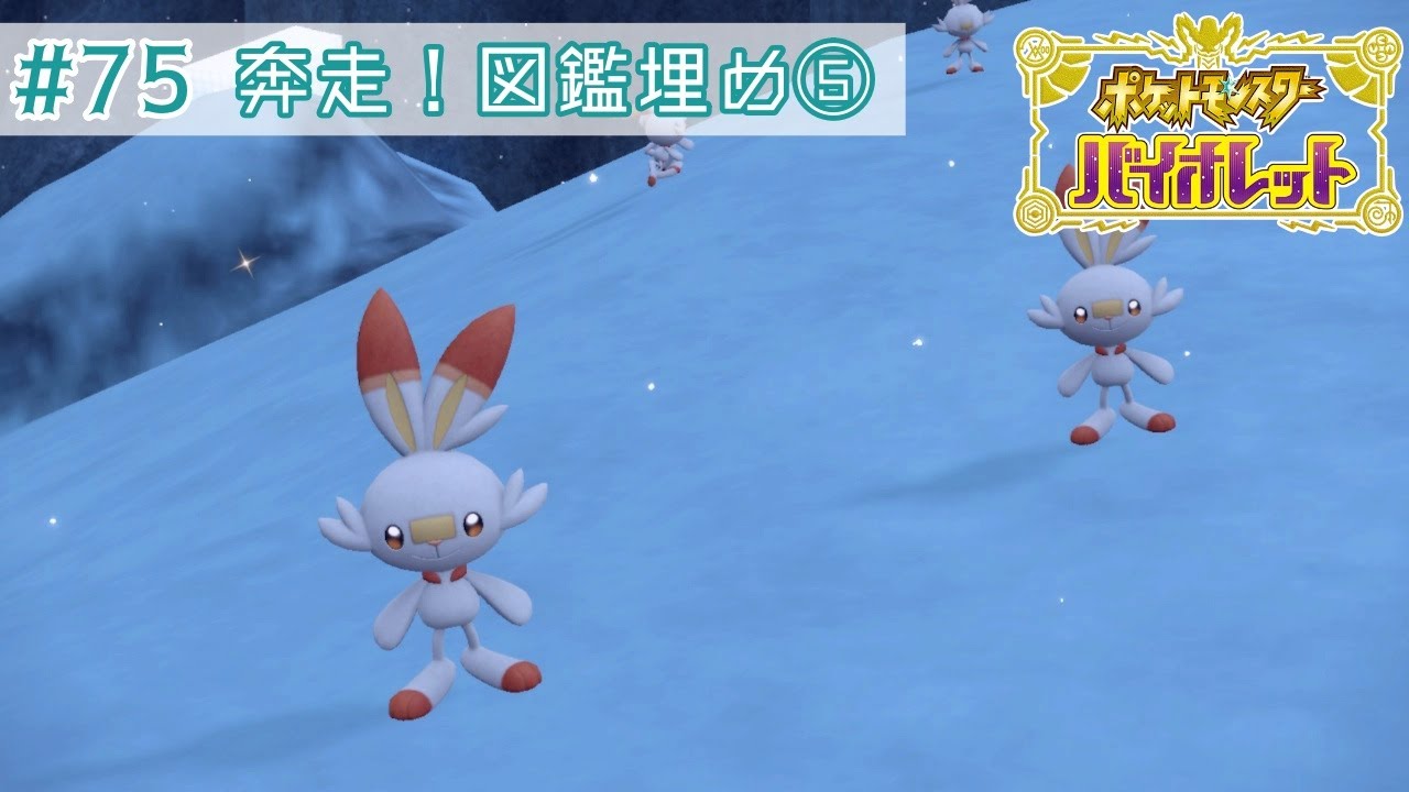 【バイオレット＃75】ヒノアラシとアチャモを探せ