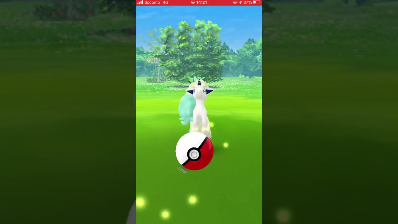 【イロチ✨図鑑】077ガラルポニータ✨Day #shorts #pokemongo #shinypokemon #Galarian #Ponyta #shinypokedex