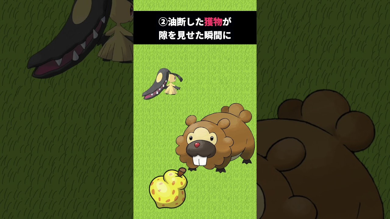 ポケモン界のアイドルクチートに関する小ネタ3選 #ポケモン