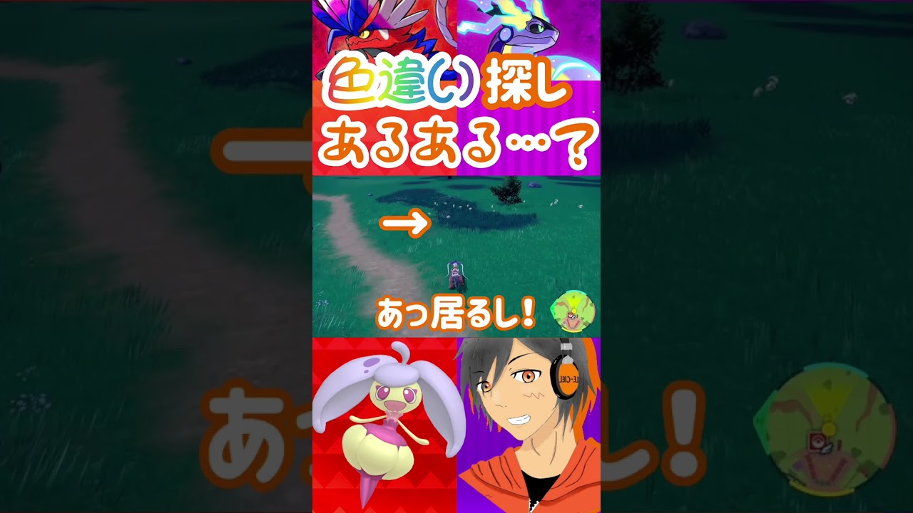 色違い探しあるある…？⑨【#ポケモンSV】#アママイコ #shorts