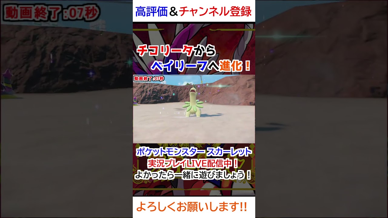 チコリータ→ベイリーフ進化【ポケモンSV】