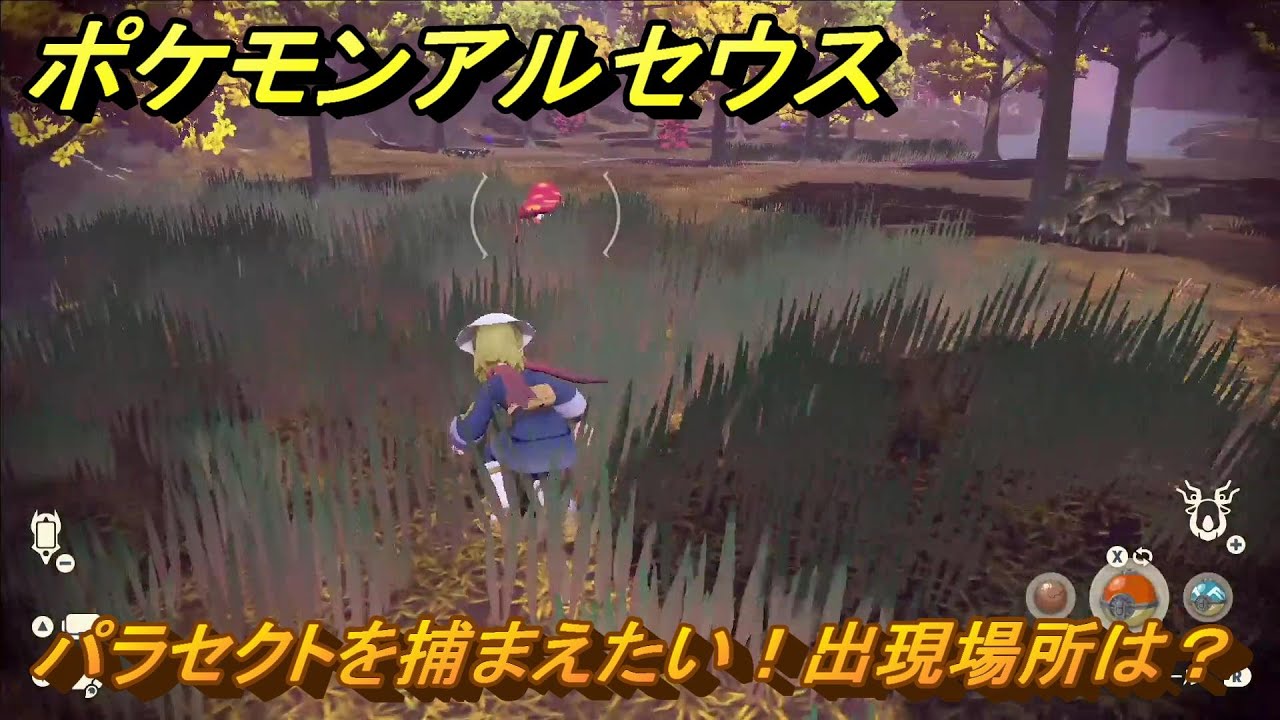 ポケモンアルセウス　パラセクトを捕まえたい！出現場所は？　＃５８　【Pokémon LEGENDS アルセウス】