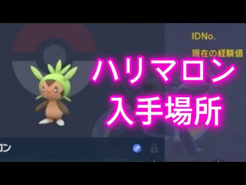 【ポケモンSV】【藍の円盤】ハリマロン入手場所