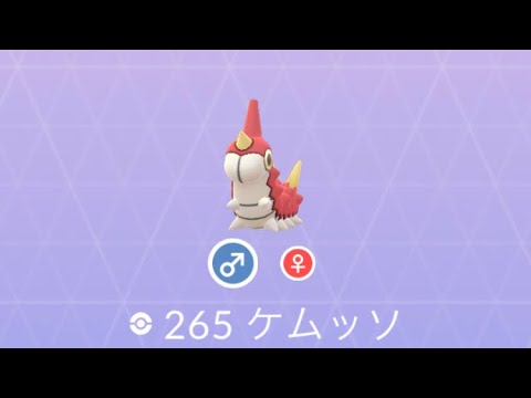 Pokémon GO 265 ケムッソ
