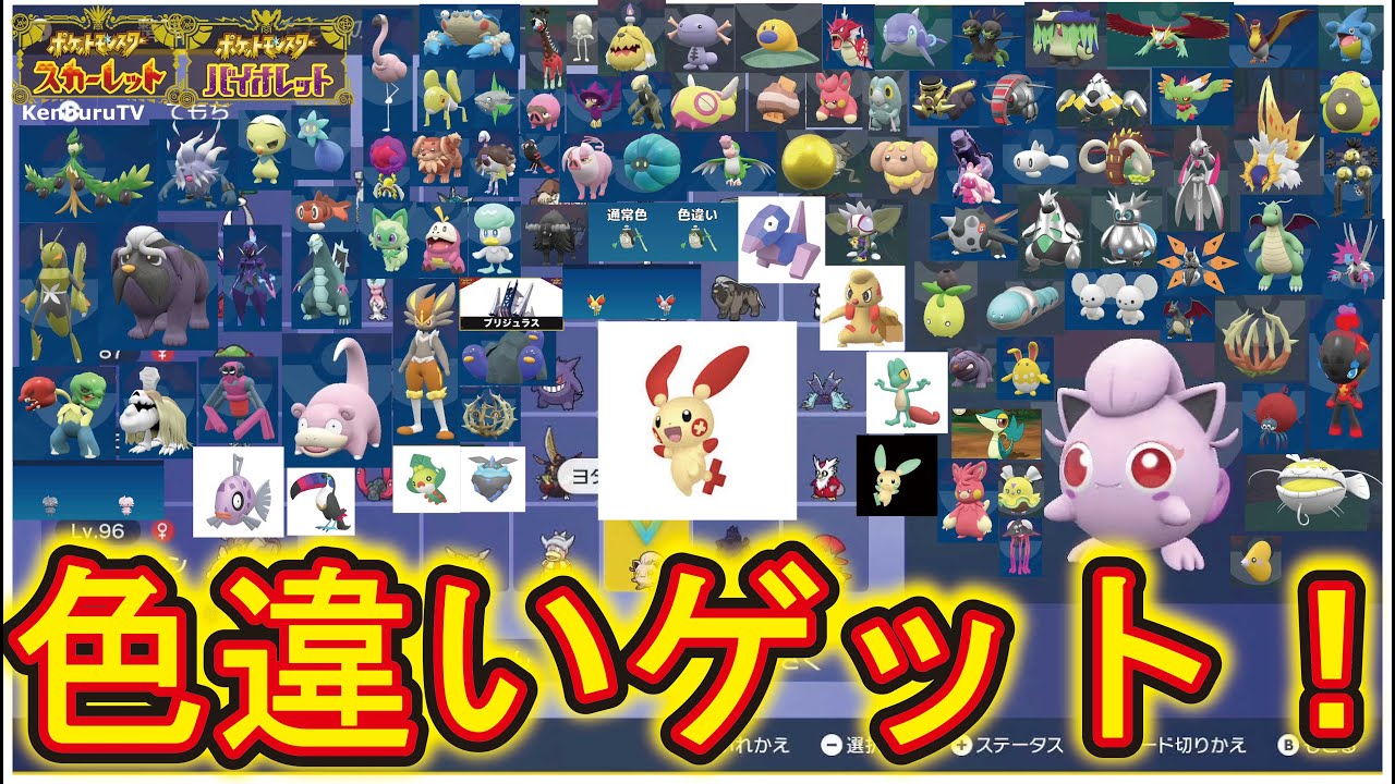 【#ポケットモンスタースカーレットバイオレット蒼の円盤】雑談配信！色違い証持ちプラスル出るか！？ライブ配信！