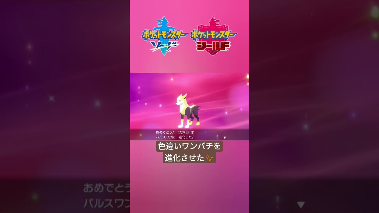 【ポケモン剣盾】色違いワンパチを『パルスワン』に進化✨ #shorts