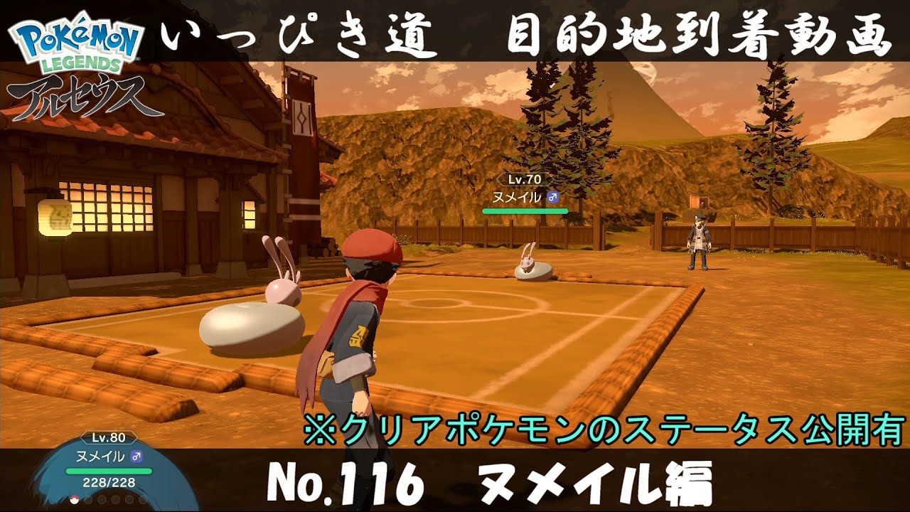 【いっぴき道攻略】No.116 ヌメイル編【Pokémon LEGENDS アルセウス】