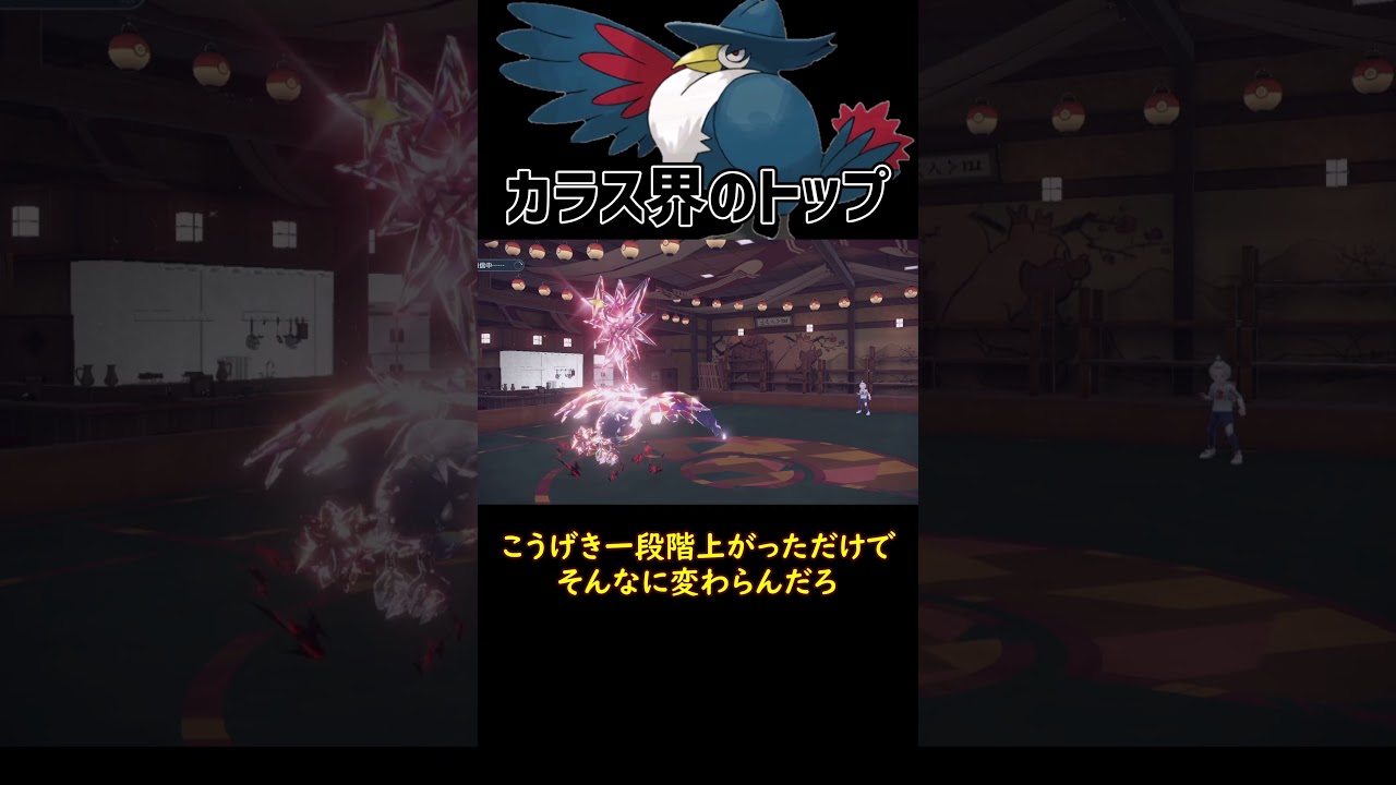 カラス界の頂点 ドンカラス