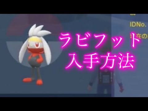 【ポケモンSV】【藍の円盤】ラビフット入手方法