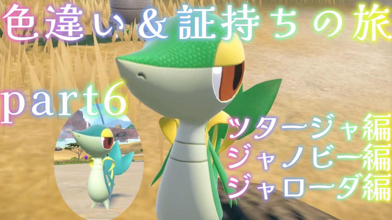 【ポケモン】色違い＆証厳選の旅【part6】【ツタージャ・ジャノビー・ジャローダ編】