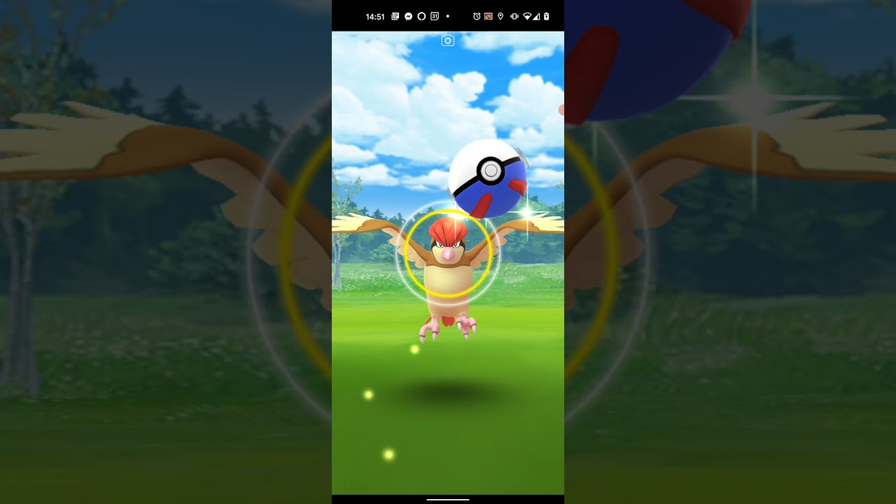 【ポケモンGO】ピジョンをワンショット・エクセレント・カーブスローでゲットしただけの動画