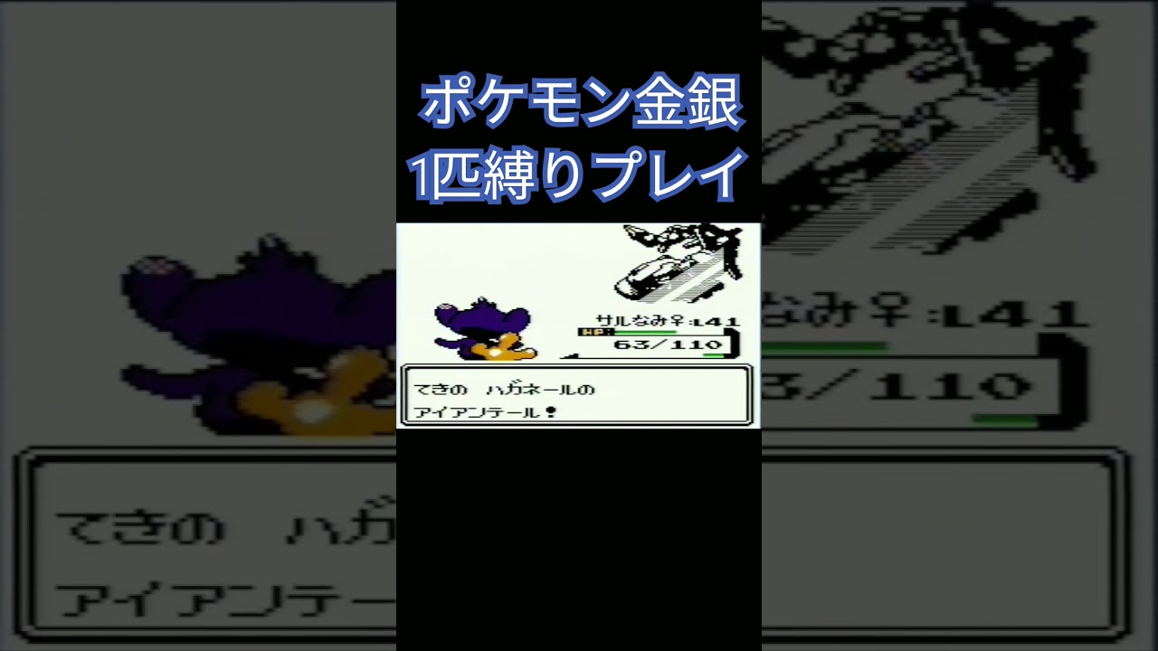 【ポケモン金銀】ポケモン1匹縛りプレイ!!エイパムver【縛りプレイ】#ポケモン金銀 #縛りプレイ #エイパム #ゲーム実況