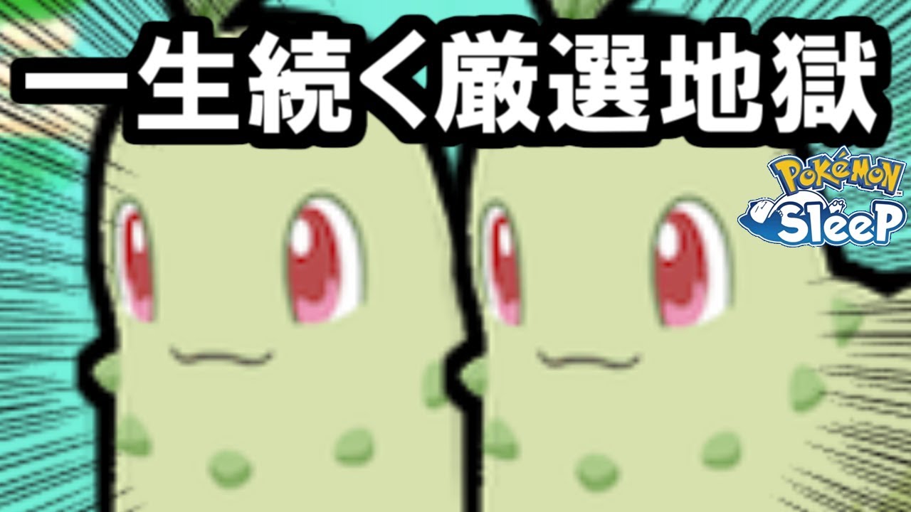 205日間プレイしてもチコリータの厳選が終わらない闇のゲーム。【ポケモンスリープ】