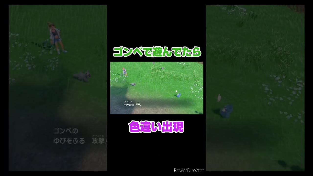 【ポケモンSV】ゴンベで遊んでたら…。  #ポケモン #ポケモンsv #色違い  #shorts #short