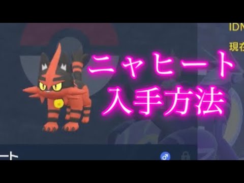 【ポケモンSV】【藍の円盤】ニャヒート入手方法