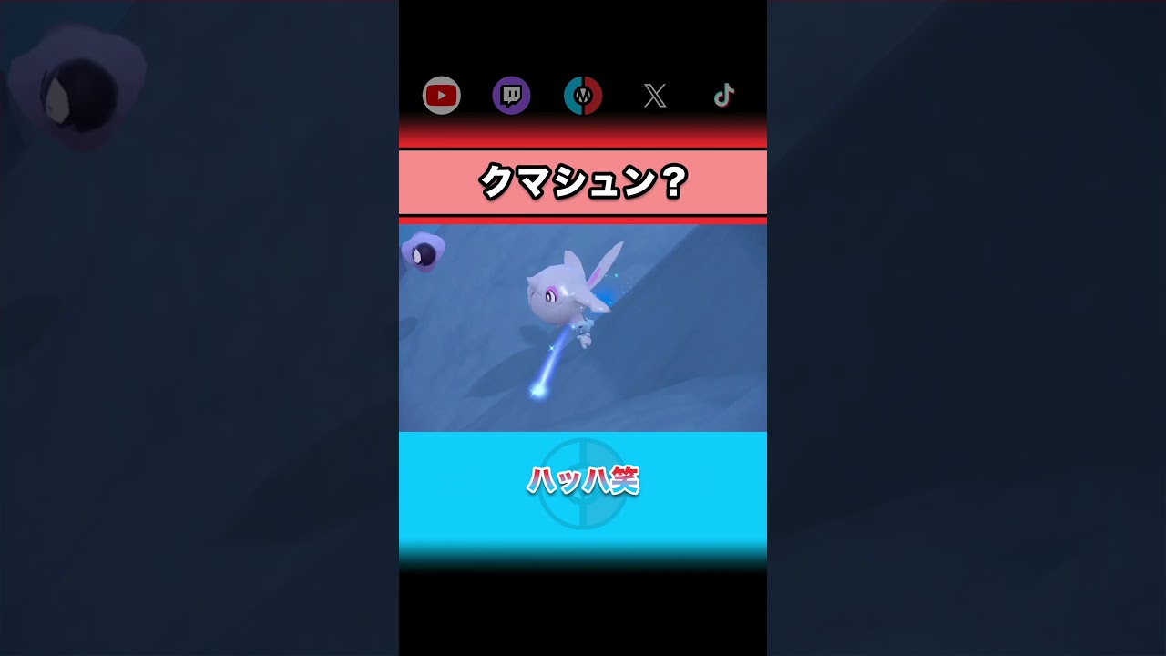 クマシュン？ #ポケモンSV #アルクジラ #かくれんぼ