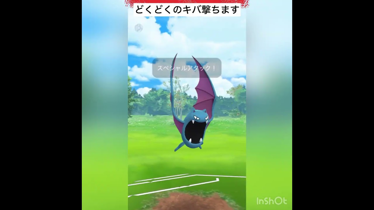 初手ゴルバット‼️（進化カップ）