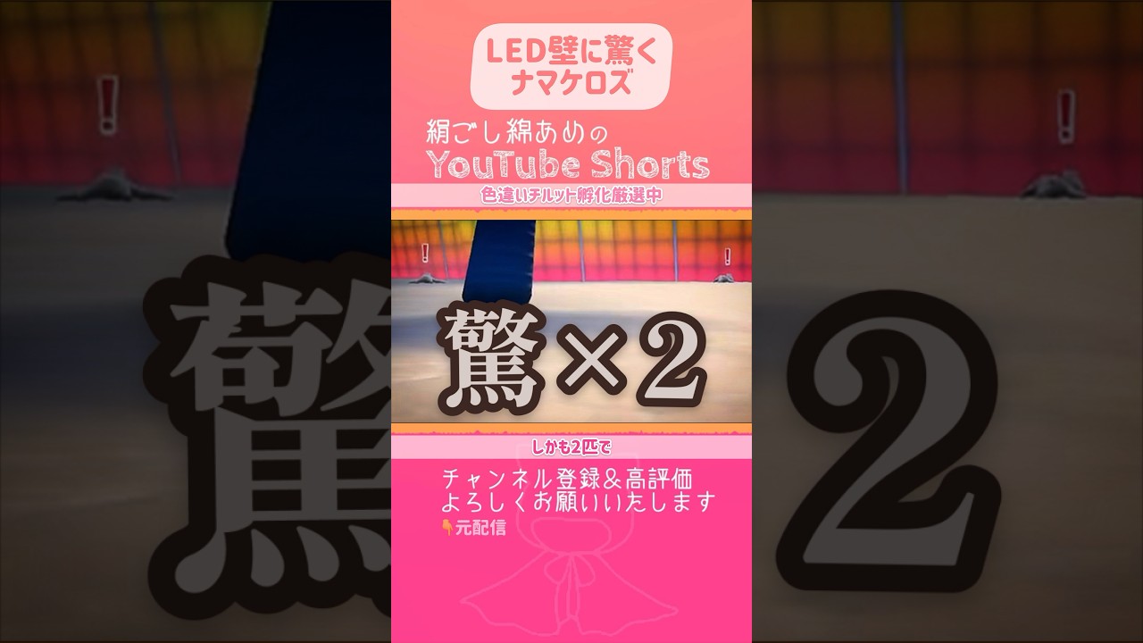 壁に踊……じゃなくて驚×2なナマケロ。地獄耳なのかと思ったらLED壁初見だった【ポケモンSV 藍の円盤】 #shorts