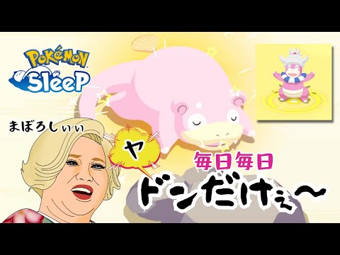 【ポケモンスリープ】こっこおばちゃんの睡眠リサーチ記録 210日目
