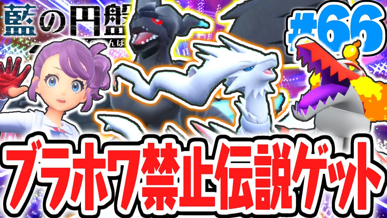 伝説のゼクロム&レシラムをゲットしよう!!BWの禁止伝説ポケモンが出現!?藍の円盤DLCで最速実況Part66【ポケットモンスター スカーレット・バイオレット】