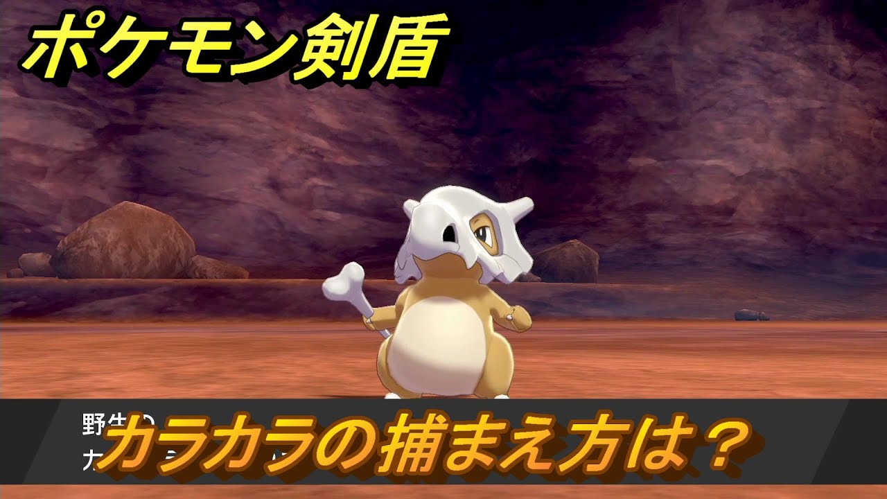 ポケモン剣盾　カラカラを捕まえる方法！オススメの場所は？天気は？ポケモン図鑑コンプへの道！　最新版【ポケモンソード・シールド】