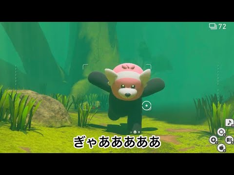 キテルグマに全速力で追いかけられて恐怖🫨　　【NEWポケモンスナップ/New Pokémon Snap】