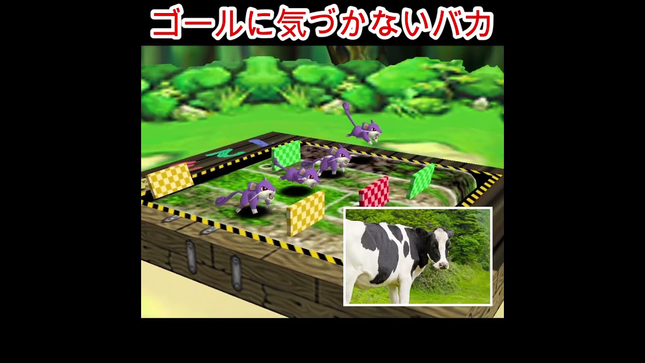 はしれコラッタでゴールに気づかないバカ　【ポケモンスタジアム２】#shorts