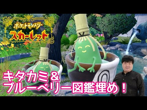 ゼロの秘宝もクリア！パルデア図鑑完成！次はキタカミとイッシュ【ポケモンSV】【スカーレット】