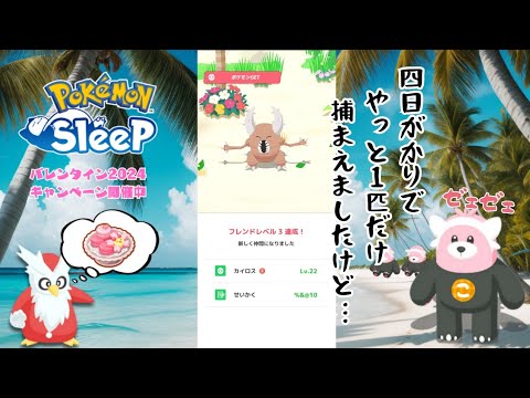 【ポケモンスリープ】こっこおばちゃんの睡眠リサーチ記録 211日目